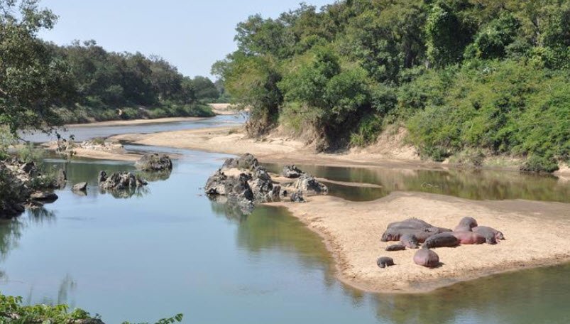Benoue National Park, North Region, Cameroon